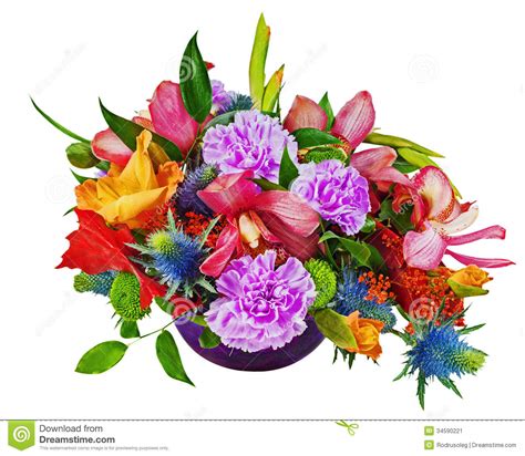 Floral Bouquet of Orchids, Gladioluses and Carnations Isolated O Stock Image - Image of freesia ...