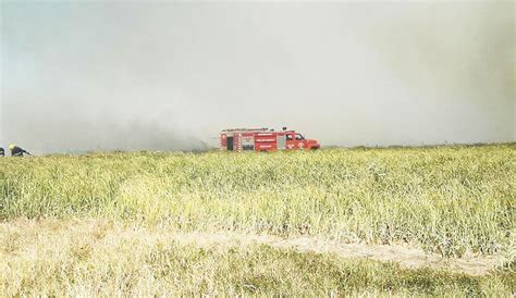 Impactante Incendio De Pastizales En Los Talas Diario Hoy En La Noticia