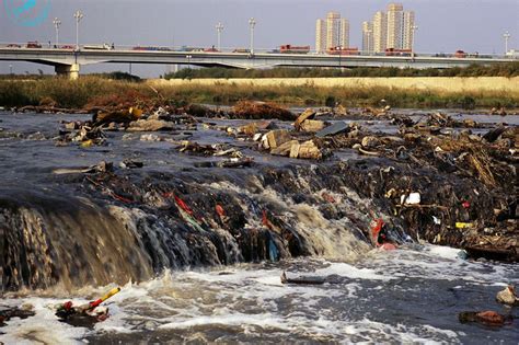 Most Polluted River In The World 2024 Alfy Louisa