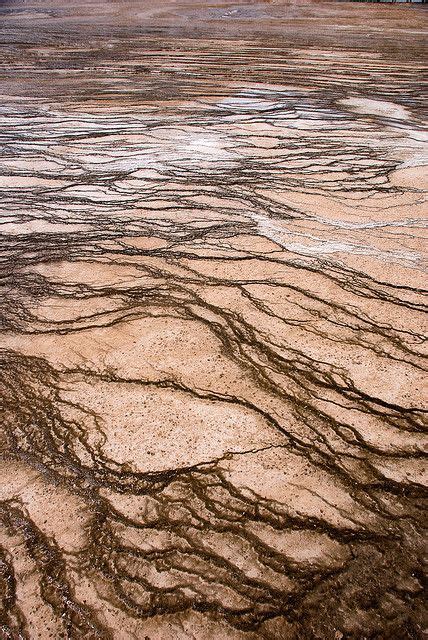 Organic Patterns Earth Texture Organic Pattern Texture