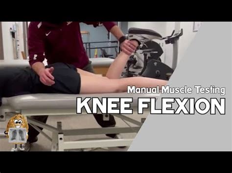 Mmt Knee Flexion Manual Muscle Test Youtube