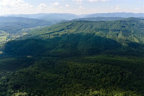 Vista aérea de las colinas montañosas cubiertas de densos bosques