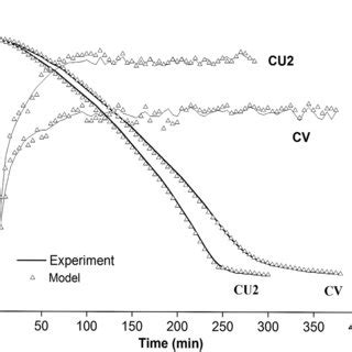 Comparison Of Theoretical And Experimental Drying Curves And