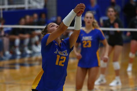 Ndcl Vs Lake Catholic D Ii Regional Volleyball Semifinal Capsule