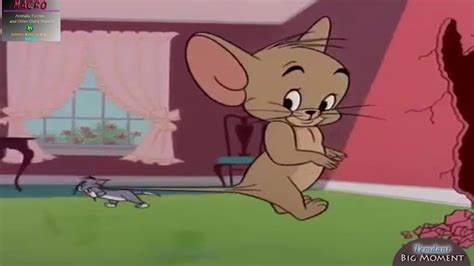 Top 67 Tom And Jerry Mouse Update