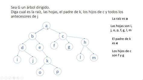 Ejercicios de grafos y árbol YouTube