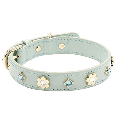 10 Best Luxury Dog Collars