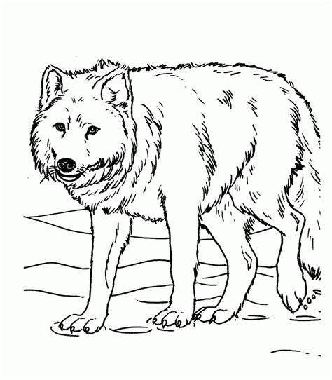 Wolf With Pup Coloring Pages Coloring Home