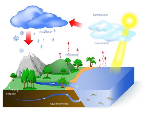 Hydrological Cycle Processes Characteristics And Importance