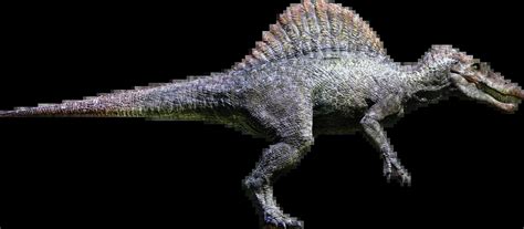how to pronounce spinosaurus