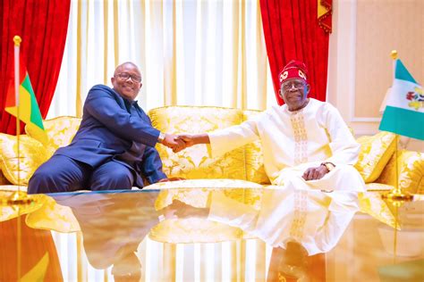 Photos Guinea Bissau President Meets President Tinubu The Nation