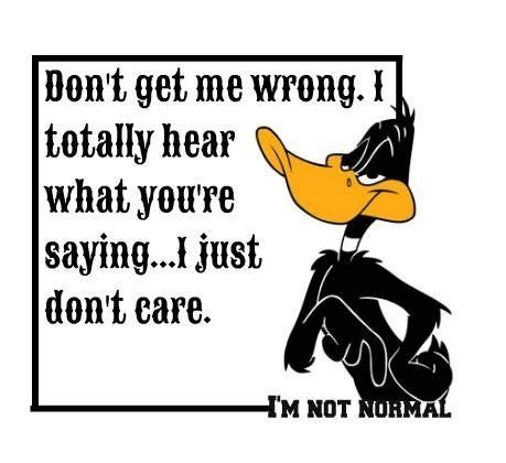 Pin by Julie Madison on Daffy Duck | Funny day quotes, Weird quotes ...