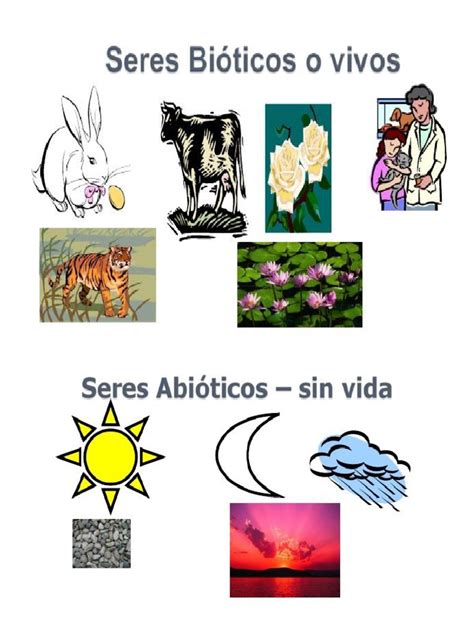 Seres Abioticos Y Bioticos