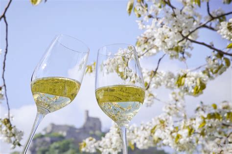 Weinviertel Wine Tour Spring