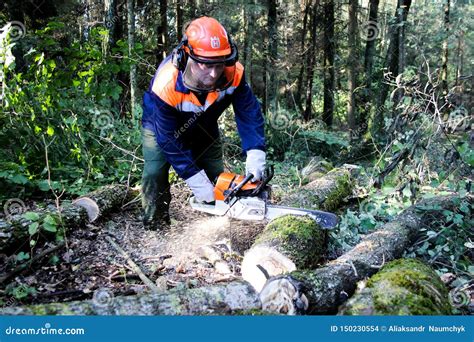 Lumberjack In Protective Safety Work Wear With Chainsaw At Forest