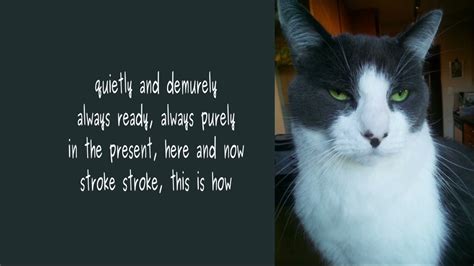 Erotic Poems Stroking Pussy DU Poetry