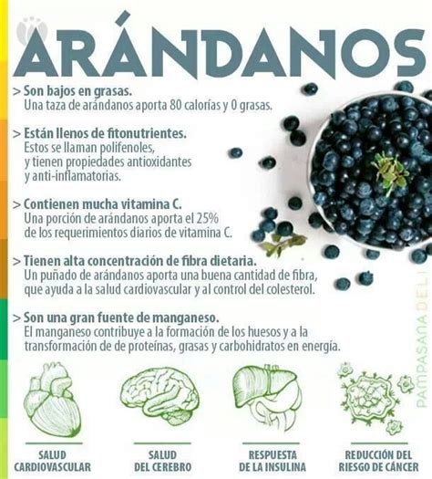 Beneficios De La Infusi N De Ar Ndanos Mejor Con Salud