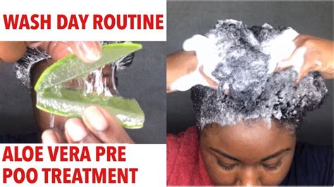 Wash Day For Dry Natural Hair Start To Finish Aloe Vera Pre Poo