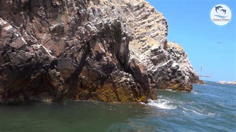 Tours Islas Ballestas Paracas Agencia De Viajes Y Turismo Paolas