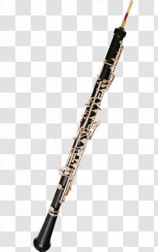 Bass Oboe Clarinet Cor Anglais Marigaux Cartoon Musical Instruments