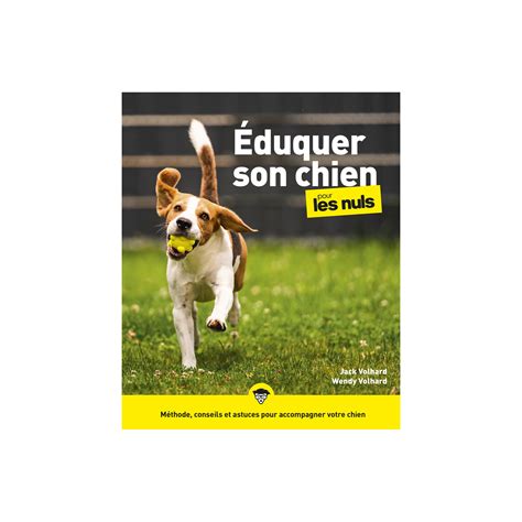 Duquer Son Chien Pour Les Nuls Grand Format E D Prix Carrefour