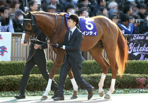 安田厩舎の管理馬ダノンスプレンダー、g1馬を半兄に持つアナザートゥルース：東海s（g2）展望 Gj