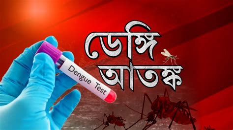 Dengue Awareness পুজোর মুখে রাজ্যে হু হু করে বাড়ছে ডেঙ্গি Youtube