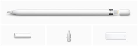 Apple Pencil 1st Usb C Adapter Imp Apple Pencil 1st Usb C Adapter Imp Apple