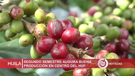 Se Espera Producci N Cafetera Superior A Los Dos Millones De Sacos