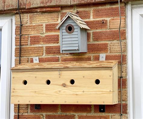 🐦 House Sparrow 🐦 Bird Box Terrace 🐦 11 Steps With Pictures Instructables