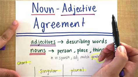 Learn Spanish Noun Adjective Agreement Easy Chart Diagram Youtube