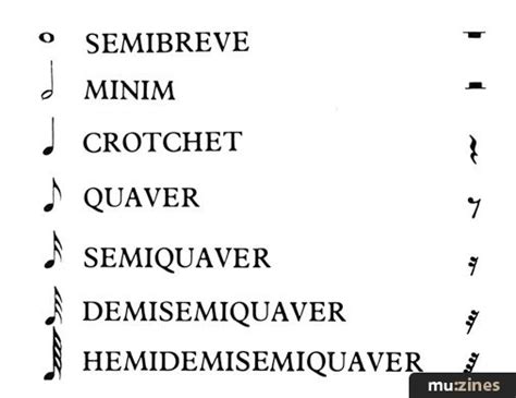 Semibreve Minim Crotchet Quaver Semiquaver Demisemiquaver