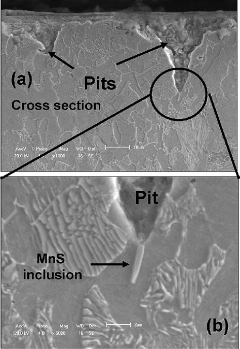 A Cross Sectional SEM Images After Pitting Corrosion In Salt Spray