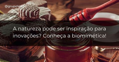 O que é biomimética Veja as suas aplicações