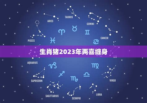 生肖猪2023年两喜缠身预测2023年生肖猪的运势和发展方向 星辰八字