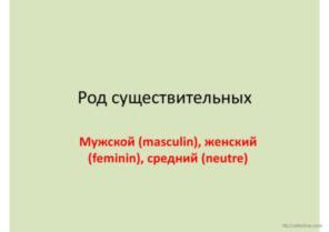 5 Род имён существительных Pусский РКИ powerpoints