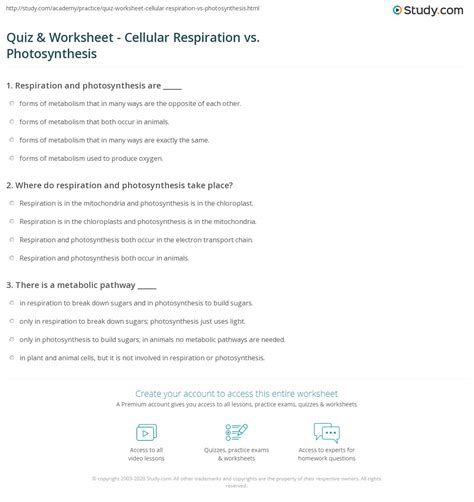 Photosynthesis Vs Cellular Respiration Worksheet Printable Calendars