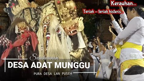 Kerauhan Massal Merinding Ritatkala Sesuhuunan Desa Adat Munggu