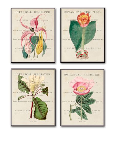 Vintage Botanical Print Set No12 Giclee Canvas Art Prints Antique