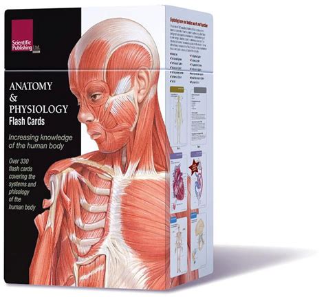 Anatomy And Physiology Flash Cards