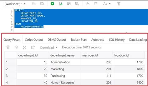 Viewing The Sql Output