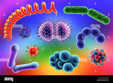 Les microbes Illustration d ordinateur d un mélange contenant des