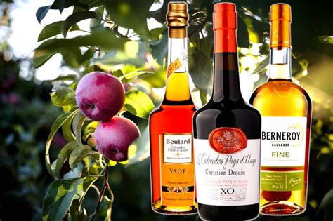 8 Vibrant Calvados Brandies Crammed With Normandy Apples | Drinks Geek