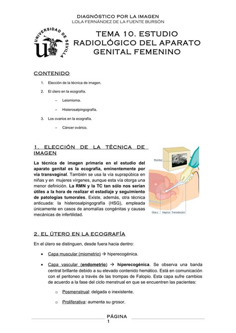 Estudio Radiol Gico Del Aparato Genital Femenino Diagn Stico Por La