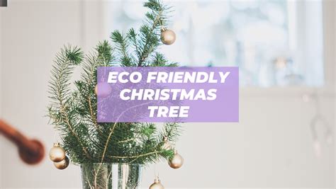 Eco Friendly Christmas Tree Ideas to Make Your Home Cheery and Bright ...