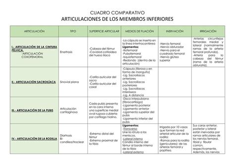 Articulaciones Del Miembro Inferior Frida Sangines Udocz