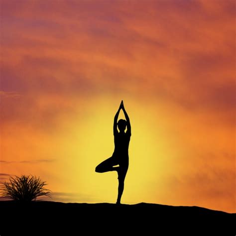 Sunset Yoga Free Stock Photo Public Domain Pictures