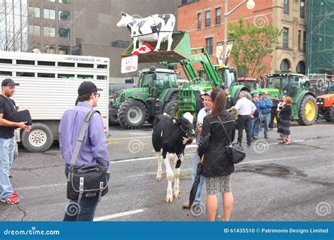 Canadian Dairy Farmers Protest Editorial Image - Image: 61435510