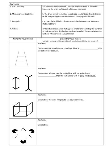 Explaining Visual Illusion Gcse Psychology Aqa Teaching Resources