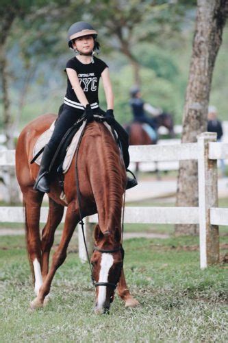 Top 8 Horse Riding In Johor Updated